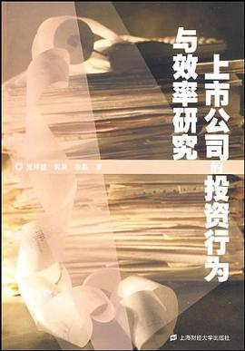 上市公司的投资行为与效率研究 pdf epub mobi 电子书 下载
