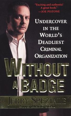 Without a Badge pdf epub mobi 電子書 下載