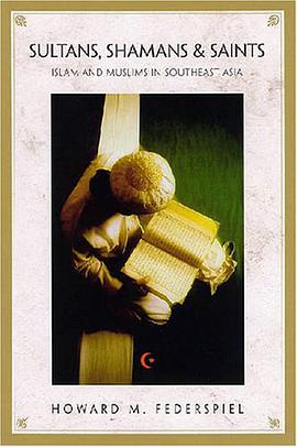 Sultans, Shamans, and Saints pdf epub mobi 電子書 下載
