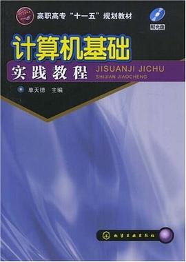 计算机基础实践教程 pdf epub mobi 电子书 下载