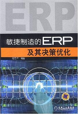 敏捷制造的ERP及其决策优化 pdf epub mobi 电子书 下载