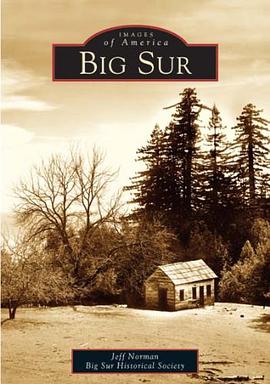 Big Sur pdf epub mobi 电子书 下载