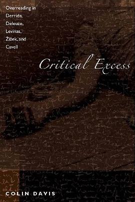 Critical Excess pdf epub mobi 电子书 下载