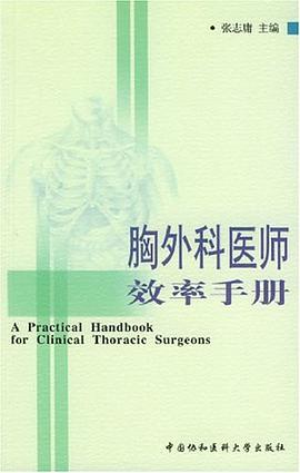胸外科医师效率手册 pdf epub mobi 电子书 下载