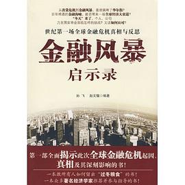 金融风暴启示录 pdf epub mobi 电子书 下载