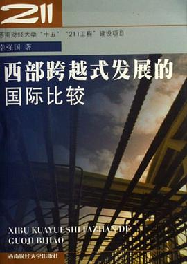西部跨越式发展的国际比较 pdf epub mobi 电子书 下载