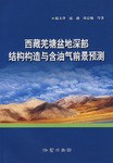 西藏羌塘盆地深部结构构造与含油气前景预测