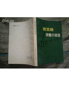施托姆詩意小說集 pdf epub mobi 電子書 下載