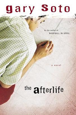 The Afterlife pdf epub mobi 电子书 下载