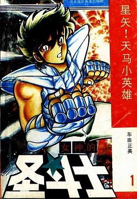 女神的圣斗士 pdf epub mobi 电子书 下载