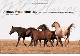 Among Wild Horses pdf epub mobi 电子书 下载