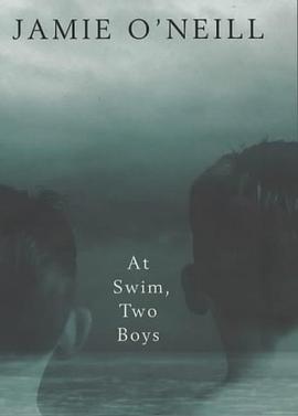 At Swin，Two Boys pdf epub mobi 电子书 下载