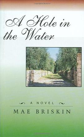 A Hole in the Water pdf epub mobi 下载
