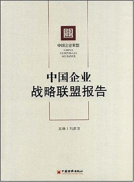 中国企业战略联盟报告 pdf epub mobi 电子书 下载
