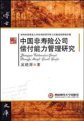 中国非寿险公司偿付能力管理研究 pdf epub mobi 电子书 下载