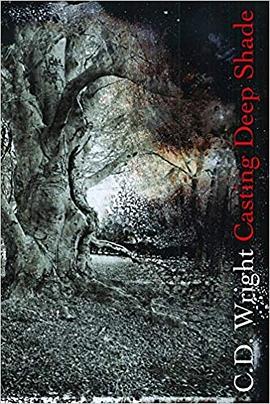 Casting Deep Shade pdf epub mobi 电子书 下载