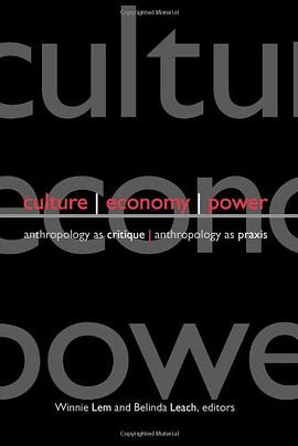 Culture, Economy, Power pdf epub mobi 电子书 下载