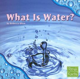 What Is Water pdf epub mobi 下载