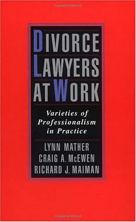 Divorce Lawyers at Work pdf epub mobi 电子书 下载