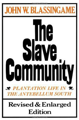 The Slave Community pdf epub mobi 电子书 下载