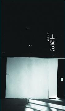 土壁虎 pdf epub mobi 电子书 下载