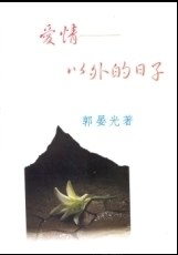 爱情以外的日子 pdf epub mobi 电子书 下载