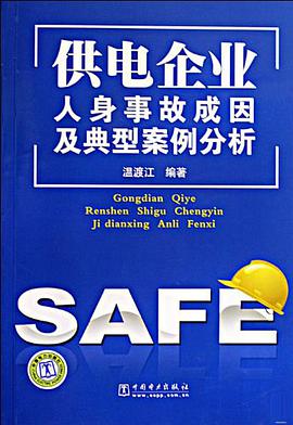 供电企业人身事故成因及典型案例分析 pdf epub mobi 电子书 下载