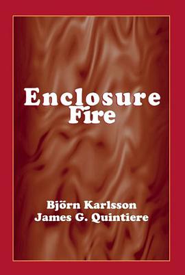 Enclosure Fire Dynamics (Environmental and Energy Engineering Series) pdf epub mobi 电子书 下载
