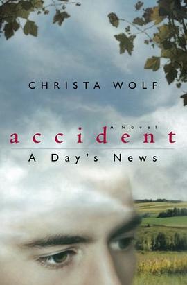 Accident pdf epub mobi 电子书 下载