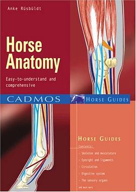 Horse Anatomy pdf epub mobi 電子書 下載