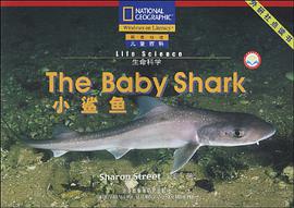小鲨鱼 pdf epub mobi 电子书 下载