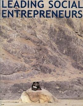 Leading Social Entrepreneurs pdf epub mobi 電子書 下載