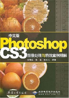 中文版Photoshop CS3图像处理与特效案例精解 pdf epub mobi 电子书 下载
