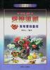 爱情规则--青年爱情圣经 pdf epub mobi 电子书 下载