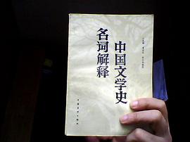 中国文学名词解释