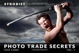 Strobist Photo Trade Secrets pdf epub mobi 电子书 下载