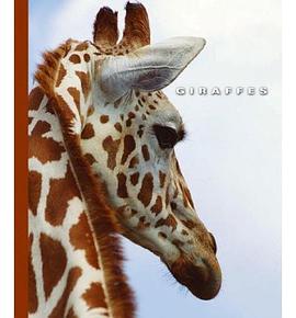 Giraffes pdf epub mobi 电子书 下载