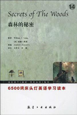 6500词床头灯英语14 pdf epub mobi 电子书 下载