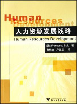 人力资源发展战略 pdf epub mobi 电子书 下载
