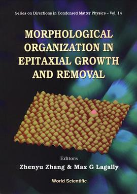 Morphological Organization in Epitaxial Growth and Removal pdf epub mobi 电子书 下载
