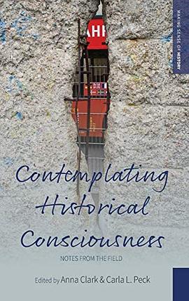 Contemplating Historical Consciousness: Notes from the Field pdf epub mobi 电子书 下载