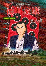 徳川家康 20 pdf epub mobi 电子书 下载