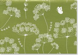 Queen Anne's Lace Note Cards pdf epub mobi 电子书 下载