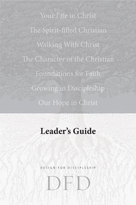 DFD pdf epub mobi 电子书 下载