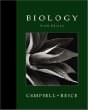 I新课标数学多媒体课件1上 pdf epub mobi 电子书 下载