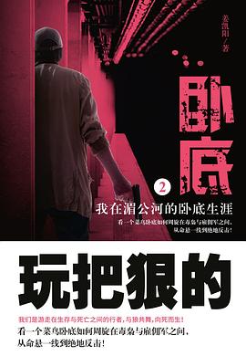 卧底2 pdf epub mobi 电子书 下载