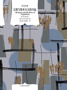 宗教与资本主义的兴起 pdf epub mobi 电子书 下载