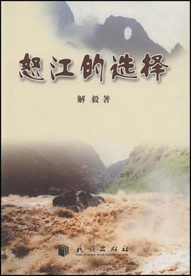 怒江的选择 pdf epub mobi 电子书 下载
