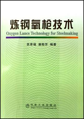 炼钢氧枪技术 pdf epub mobi 电子书 下载