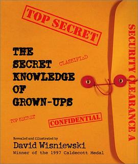 The Secret Knowledge of Grown-Ups pdf epub mobi 电子书 下载